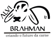 Brahman Alvim | Ra&ccedil;a Brahman